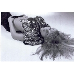 missnet-sejmout0008.jpg
Počet zobrazení: 1516 (6734.8254 dní) pr.=0.2251
Rozměr: 874 x 600 pixel
Velikost: 73.71 kB