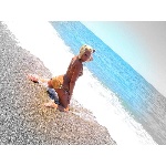 d11.jpg
Počet zobrazení: 1430 (5707.1860 dní) pr.=0.2506
Rozměr: 600 x 450 pixel
Velikost: 191.148 kB