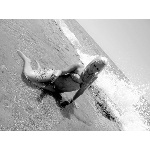 d5.jpg
Počet zobrazení: 1349 (5707.1862 dní) pr.=0.2364
Rozměr: 600 x 450 pixel
Velikost: 142.136 kB