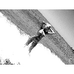 d7.jpg
Počet zobrazení: 1397 (5707.1824 dní) pr.=0.2448
Rozměr: 600 x 450 pixel
Velikost: 172.954 kB