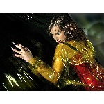 111092479.jpg
Počet zobrazení: 1528 (6491.0662 dní) pr.=0.2354
Rozměr: 600 x 449 pixel
Velikost: 240.197 kB